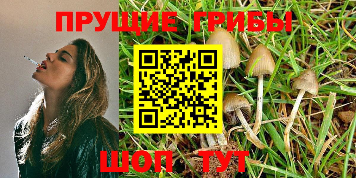 Галлюциногенные грибы Psilocybine cubensis  Псилоцибиновые грибы Psilocybine cubensis  Троицк  Вход с VPN 